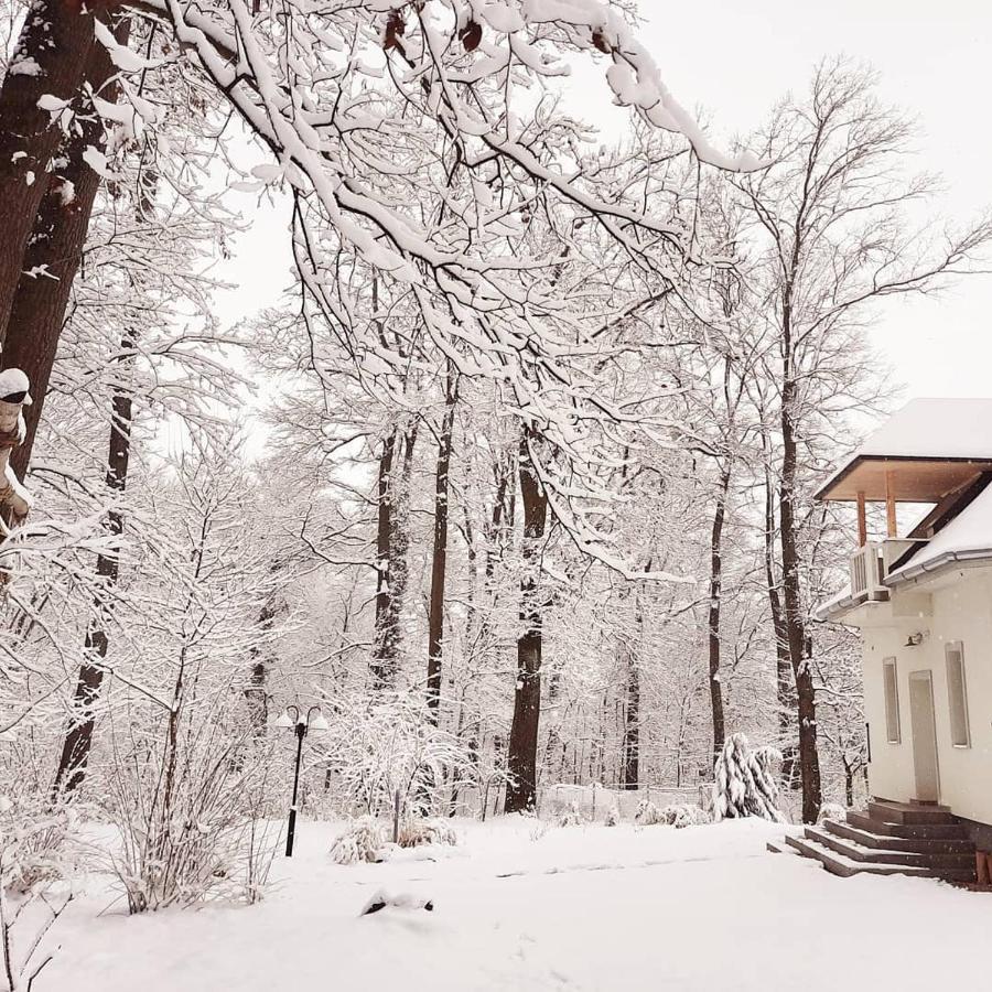 Magnolia Hotel Nagykanizsa Luaran gambar
